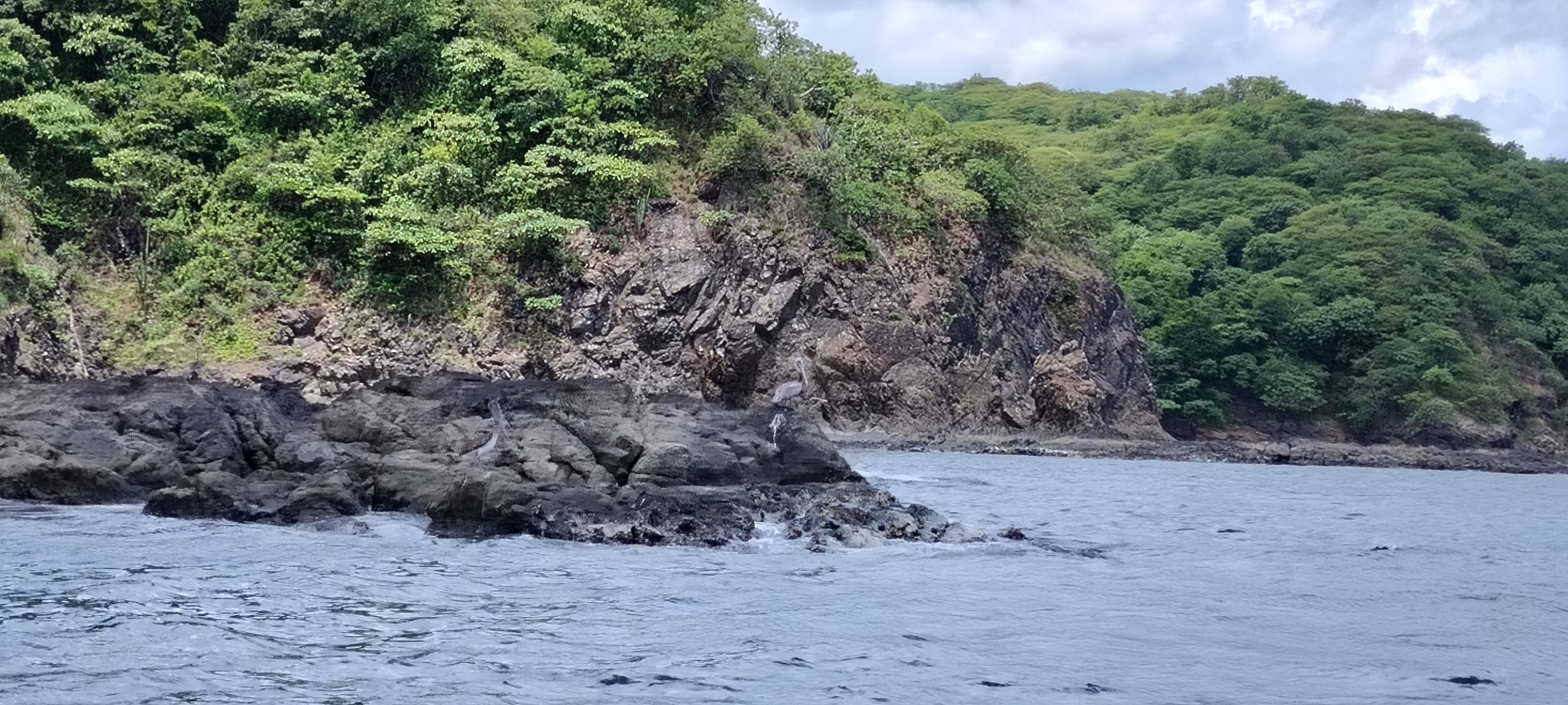 Inshore tour rocky coastline